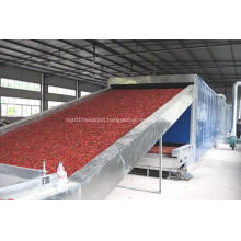 Hot Sell Fruit Drying Machine